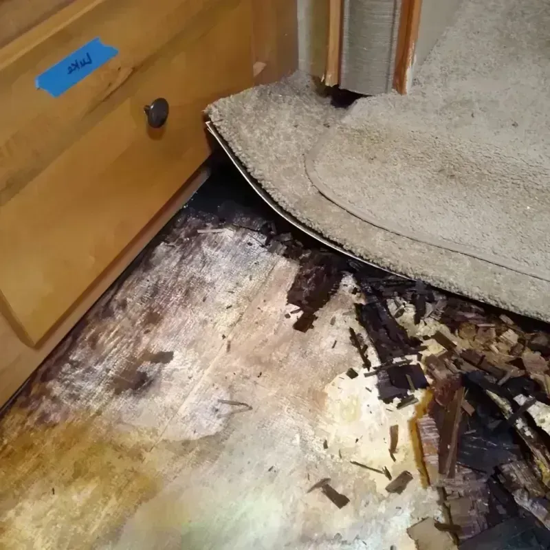 Best Wood Floor Water Damage Service in Albion, IL